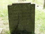 image of grave number 102873